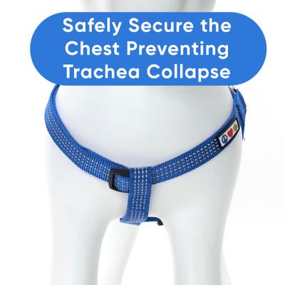 Show full view: Pawtitas Nylon Reflective Step In Back Clip Dog Harness, Blue, Medium: 20 to 28-in chest slide 5 of 11
