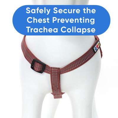 Show full view: Pawtitas Nylon Reflective Step In Back Clip Dog Harness, Marsala Brown, Small: 15 to 22-in chest slide 5 of 11