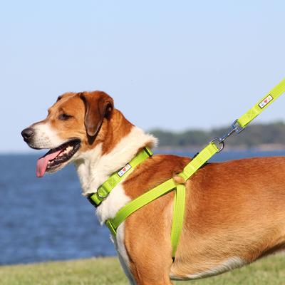 Show full view: Pawtitas Nylon Reflective Step In Back Clip Dog Harness, Orange, Medium: 20 to 28-in chest slide 2 of 11