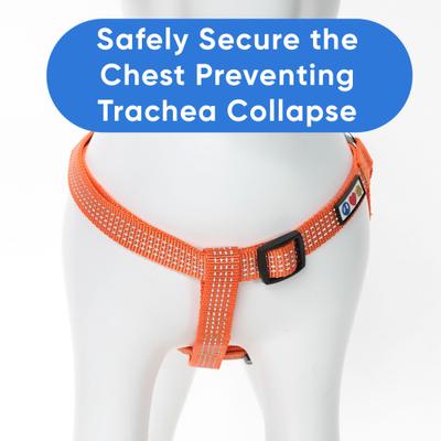 Show full view: Pawtitas Nylon Reflective Step In Back Clip Dog Harness, Orange, X-Small: 11 to 15-in chest slide 5 of 11