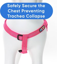 Pawtitas Nylon Reflective Step In Back Clip Dog Harness, Pink, Small: 15 to 22-in chest slide 2 of 7
