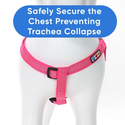 Show full view: Pawtitas Nylon Reflective Step In Back Clip Dog Harness, Pink, X-Small: 11 to 15-in chest slide 6 of 12
