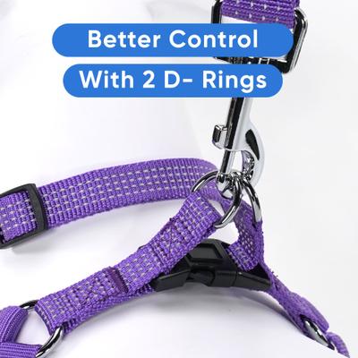 Show full view: Pawtitas Nylon Reflective Step In Back Clip Dog Harness, Purple, Large: 24 to 33-in chest slide 6 of 11