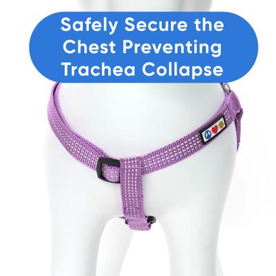 Show full view: Pawtitas Nylon Reflective Step In Back Clip Dog Harness, Purple Orchid, Small: 15 to 22-in chest slide 6 of 12
