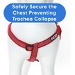 Show in main carousel: Pawtitas Nylon Reflective Step In Back Clip Dog Harness, Red, Medium: 20 to 28-in chest slide 5 of 11