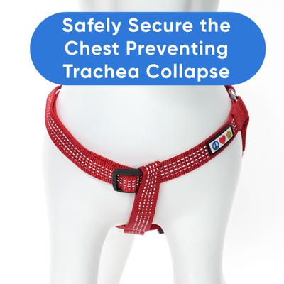 Show full view: Pawtitas Nylon Reflective Step In Back Clip Dog Harness, Red, Small: 15 to 22-in chest slide 6 of 12