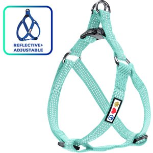 Pawtitas Nylon Reflective Step In Back Clip Dog Harness, Teal, Medium: 20 to 28-in chest