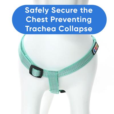Show full view: Pawtitas Nylon Reflective Step In Back Clip Dog Harness, Teal, Medium: 20 to 28-in chest slide 5 of 11