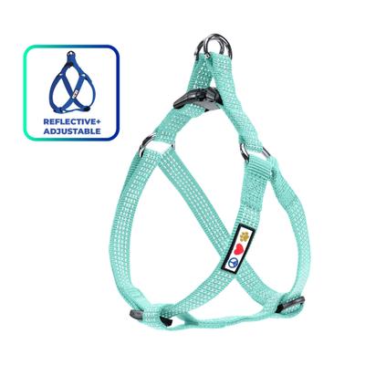 Show full view: Pawtitas Nylon Reflective Step In Back Clip Dog Harness, Teal, Small: 15 to 22-in chest slide 1 of 11