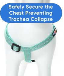 Pawtitas Nylon Reflective Step In Back Clip Dog Harness, Teal, Small: 15 to 22-in chest slide 2 of 7