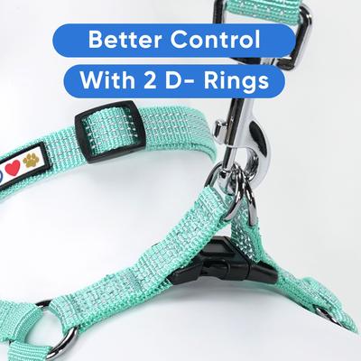 Show full view: Pawtitas Nylon Reflective Step In Back Clip Dog Harness, Teal, Small: 15 to 22-in chest slide 6 of 11