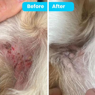 Show full view: Pawtitas Organic Hypoallergenic Itch Soother Dog Balm, 0.15-fl oz tube slide 2 of 10