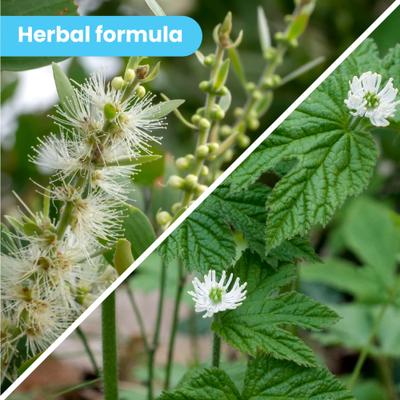 Show full view: Pawtitas Organic Hypoallergenic Itch Soother Dog Balm, 0.15-fl oz tube slide 4 of 10