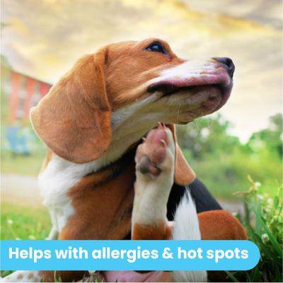 Show full view: Pawtitas Organic Hypoallergenic Itch Soother Dog Balm, 0.15-fl oz tube slide 8 of 10