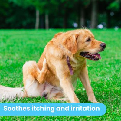 Show full view: Pawtitas Organic Hypoallergenic Itch Soother Dog Balm, 0.15-fl oz tube slide 9 of 10