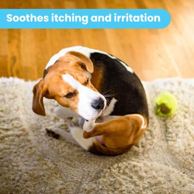 Show full view: Pawtitas Organic Hypoallergenic Itch Soother Dog Moisturizer, 2-fl oz bottle slide 6 of 10