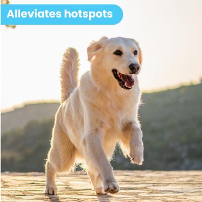 Show full view: Pawtitas Organic Hypoallergenic Itch Soother Dog Moisturizer, 8-fl oz bottle slide 8 of 10