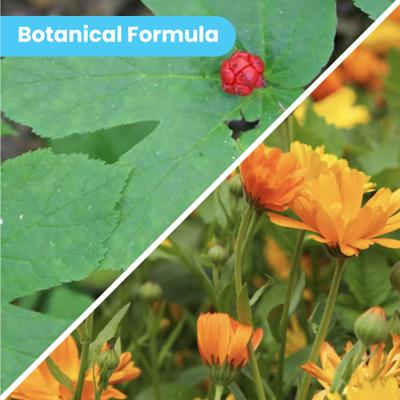 Show full view: Pawtitas Organic Hypoallergenic Itch Soother Dog Moisturizer, 8-fl oz bottle slide 4 of 10