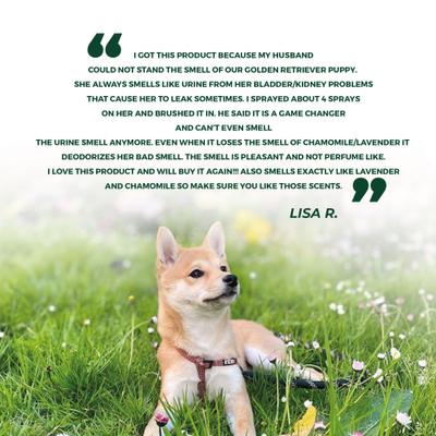 Show full view: Pawtitas Organic Lavender & Chamomile Dog Deodorant, 8-fl oz bottle slide 8 of 8