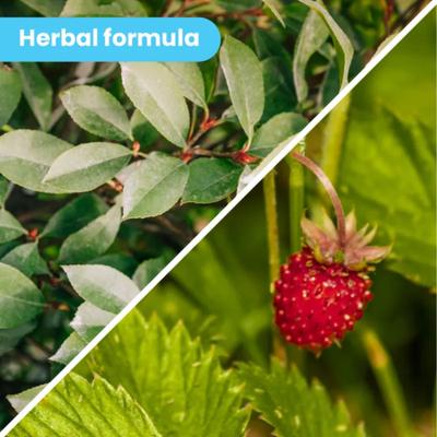 Show full view: Pawtitas Organic Nose Dog Balm Moisturizer, 1.75-fl oz can slide 4 of 10