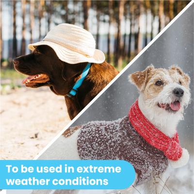 Show full view: Pawtitas Organic Nose Dog Balm Moisturizer, 1.75-fl oz can slide 6 of 10