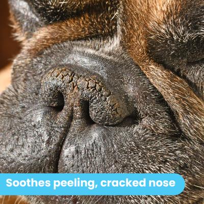 Show full view: Pawtitas Organic Nose Dog Balm Moisturizer, 1.75-fl oz can slide 9 of 10