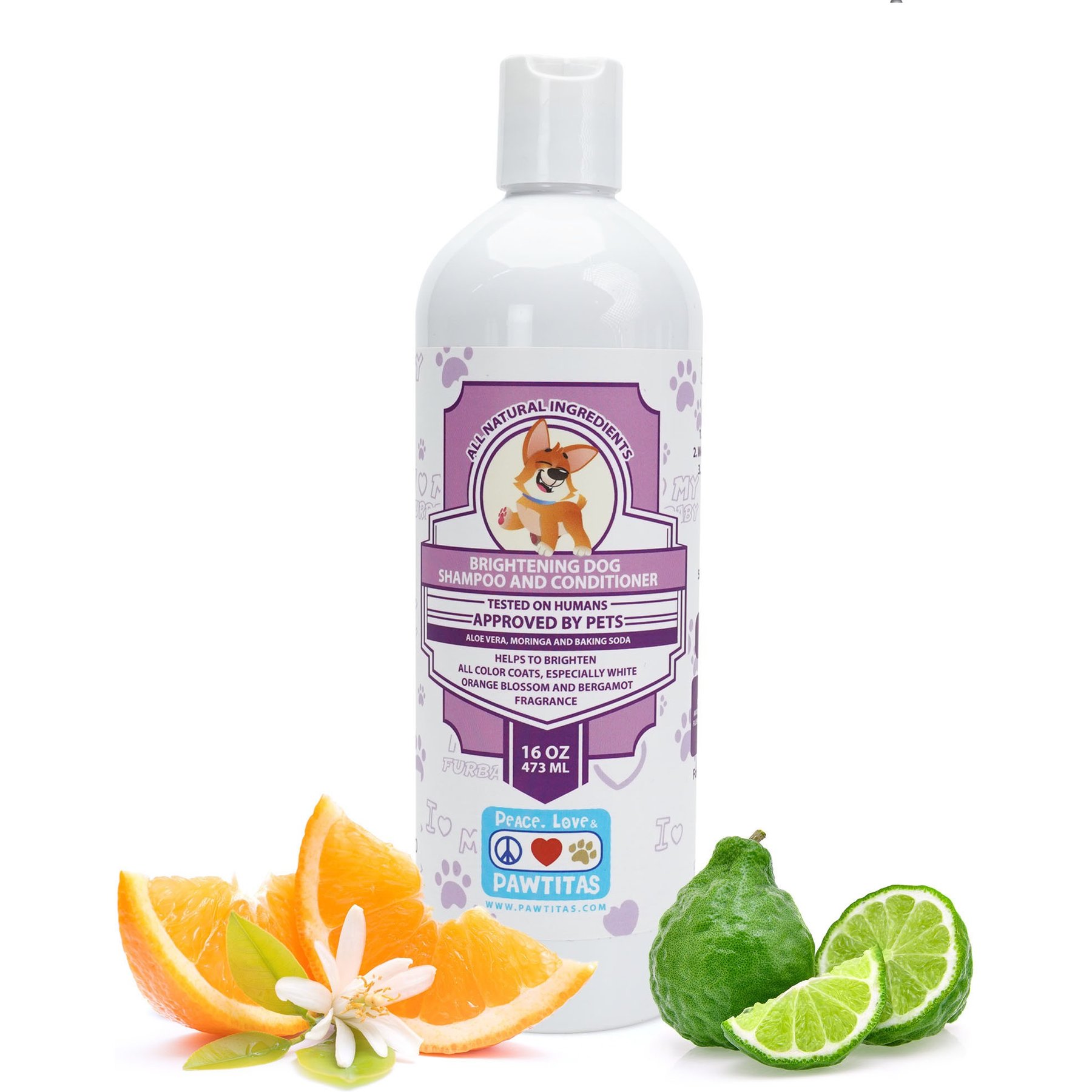 Pawtitas Organic Orange Blossom & Bergamot Oatmeal Dog Shampoo & Conditioner, 16-fl oz bottle