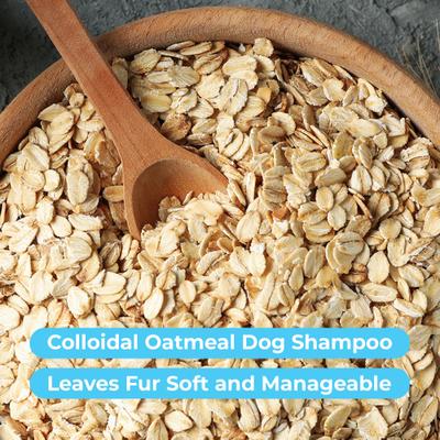 Show full view: Pawtitas Organic Orange Blossom & Bergamot Oatmeal Dog Shampoo & Conditioner, 16-fl oz bottle slide 5 of 11