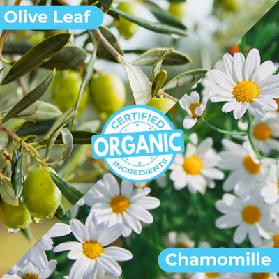 Show full view: Pawtitas Organic Orange Blossom & Bergamot Oatmeal Dog Shampoo & Conditioner, 16-fl oz bottle slide 4 of 11