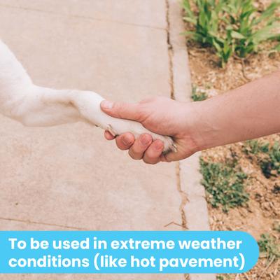 Show full view: Pawtitas Organic Paw Dog Balm Moisturizer, 0.15-fl oz tube slide 5 of 10