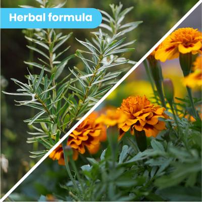 Show full view: Pawtitas Organic Paw Dog Balm Moisturizer, 0.15-fl oz tube slide 4 of 10