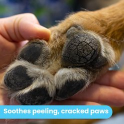 Pawtitas Organic Paw Dog Balm Moisturizer, 1.75-fl oz can slide 2 of 9