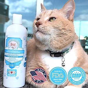 Pawtitas Organic Sheabutter & Oatmeal Cat Shampoo & Conditioner, 16-fl oz bottle