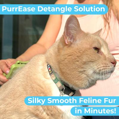 Show full view: Pawtitas Organic Sheabutter & Oatmeal Cat Shampoo & Conditioner, 16-fl oz bottle slide 7 of 12