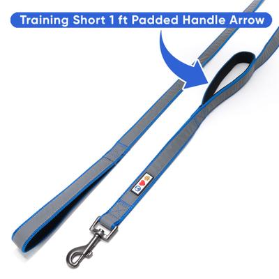 Show full view: Pawtitas Padded Reflective Dog Leash 2 Handles, Blue, Large slide 5 of 8