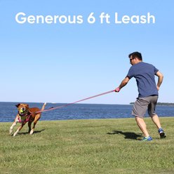 Pawtitas Reflective Dual Handle Dog Leash, Red slide 2 of 6
