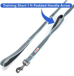 Pawtitas Reflective Dual Handle Dog Leash, Teal slide 2 of 6