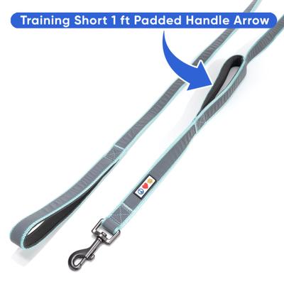 Show full view: Pawtitas Padded Reflective Dog Leash 2 Handles, Teal, Large slide 4 of 7