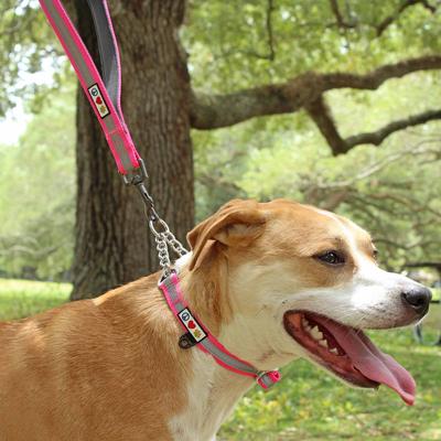 Show full view: Pawtitas Padded Reflective Short Dog Leash, Red, Large slide 7 of 8
