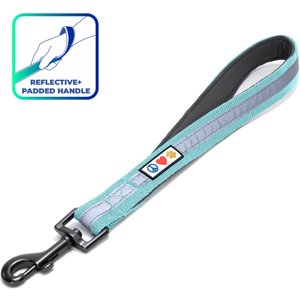 Pawtitas Padded Reflective Short Dog Leash, Teal