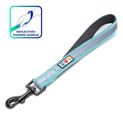 Show full view: Pawtitas Padded Reflective Short Dog Leash, Teal, Large slide 1 of 8