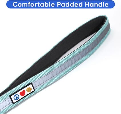 Show full view: Pawtitas Padded Reflective Short Dog Leash, Teal, Large slide 3 of 8
