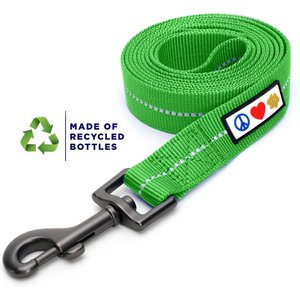 Pawtitas Recycled Reflective Dog Leash, Green, Large