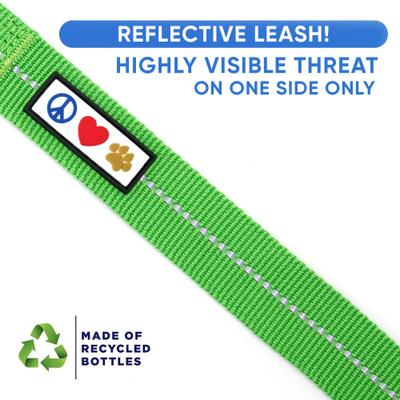Show full view: Pawtitas Recycled Reflective Dog Leash, Green, Large slide 2 of 9