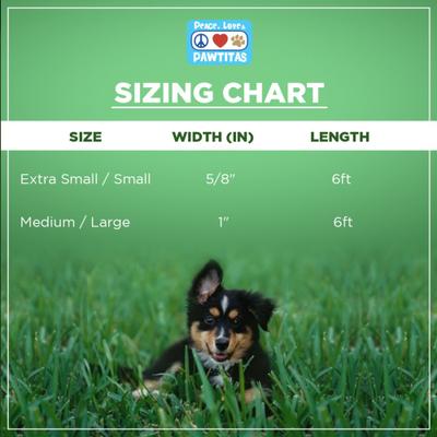 Show full view: Pawtitas Recycled Reflective Dog Leash, Teal, Large slide 6 of 9