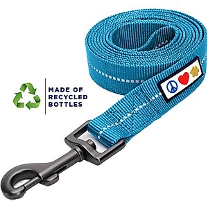 Pawtitas Recycled Reflective Dog Leash, Teal, Small