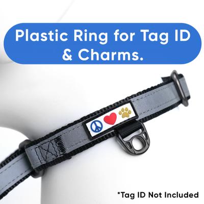 Show full view: Pawtitas Reflective Martingale Dog Collar, Black, Small slide 3 of 10