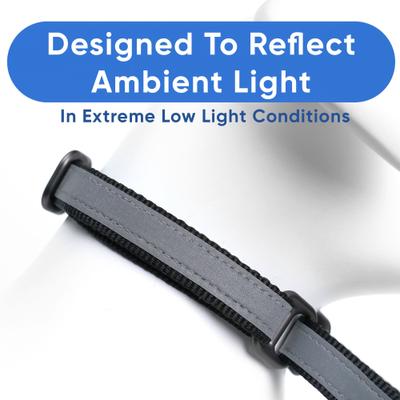 Show full view: Pawtitas Reflective Martingale Dog Collar, Black, Small slide 4 of 10