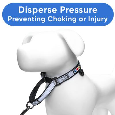 Show full view: Pawtitas Reflective Martingale Dog Collar, Black, Small slide 5 of 10