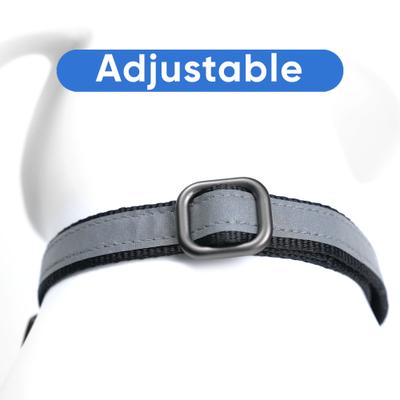 Show full view: Pawtitas Reflective Martingale Dog Collar, Black, Small slide 6 of 10